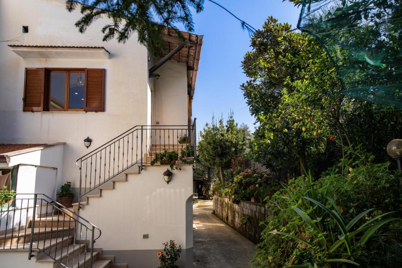 Mediterranean House Sorrento Dış mekan fotoğraf